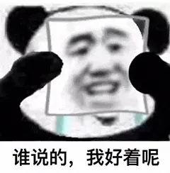 金馆长熊猫00137-谁说的我好着呢