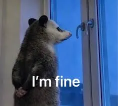 负鼠00011-i-am-fine