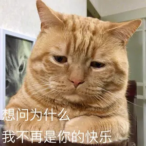 是喵星人啦00134-想问为什么-我不再是你的快乐猫