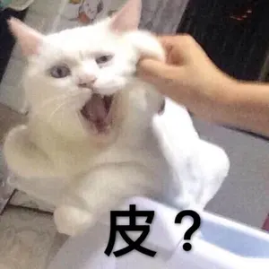 是喵星人啦00018-皮猫