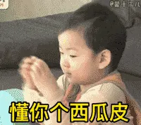 可爱男孩纸00003-你懂个西瓜皮