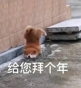 中国春节00003-给您拜个年