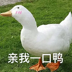 开心鸭00006-亲我一口鸭