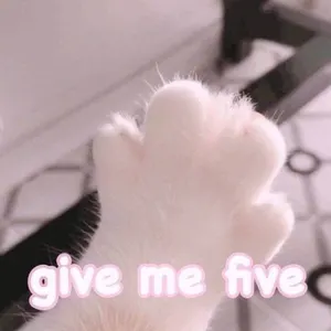 是喵星人啦00096-GiveMeFive-给我5毛钱猫