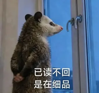 负鼠00010-已读不回是在细品