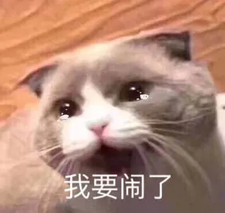 是喵星人啦00109-我要闹了猫