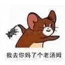 猫和老鼠00209-我去你妈了个老汤姆