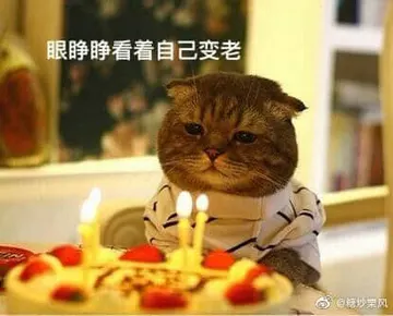 是喵星人啦00108-眼睁睁看着自己变老-生日猫