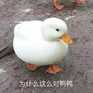 开心鸭00041-为什么这样对鸭鸭