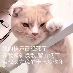 是喵星人啦00113-我的快乐已经死了-在我精神涣散智力低下羞愧又按钮的十七岁这年猫