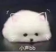 是喵星人啦00104-小声BB猫