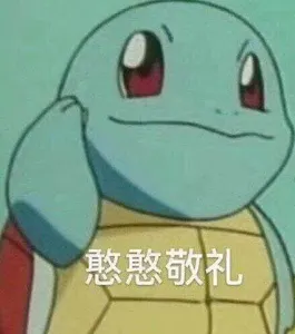 杰尼龟00006-憨憨敬礼
