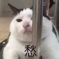 是喵星人啦00112-愁猫
