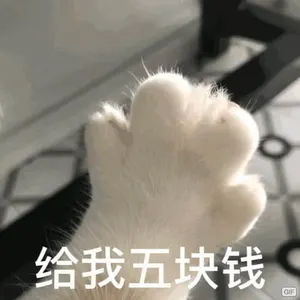 是喵星人啦00002-给我5块钱猫