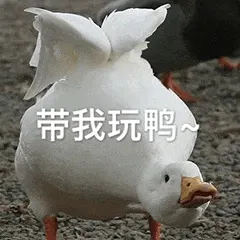 开心鸭00005-带我玩鸭