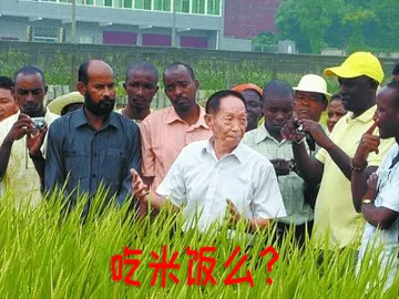 袁隆平00015-吃米饭么