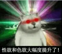 奇妙猫00020-性欲和色欲大幅度提升了