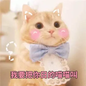 是喵星人啦00127-我要把你日的喵喵叫猫