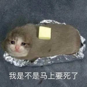 是喵星人啦00016-我是不是马上要死了猫