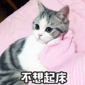 是喵星人啦00101-不想起床猫