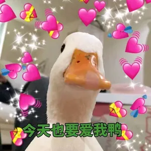 开心鸭00009-今天也要爱我鸭