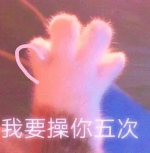 是喵星人啦00138-我要X你五次猫