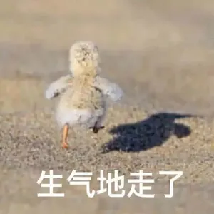 开心鸭00031-生气的走了