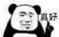 金馆长熊猫00250-真好