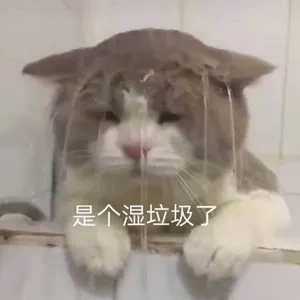 是喵星人啦00163-是个湿垃圾了猫
