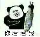 程序员专属表情包_17