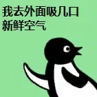Penguin00071