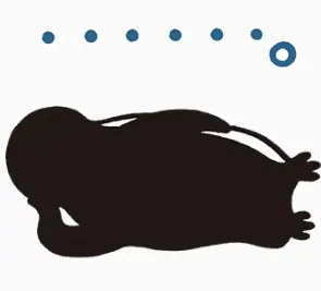 Penguin00119