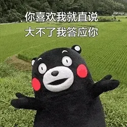 熊本熊00030-你喜欢搜就直说-大不了我答应你