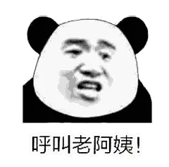 金馆长熊猫00210-呼叫老阿姨