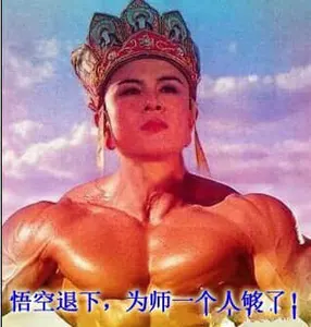 悟空退下吧为师一个人就足够了