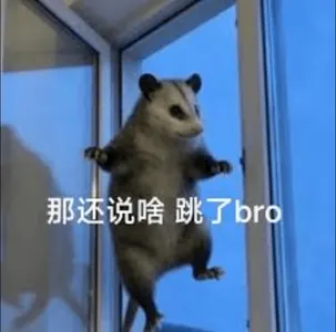 负鼠00018-那还说啥跳了bro