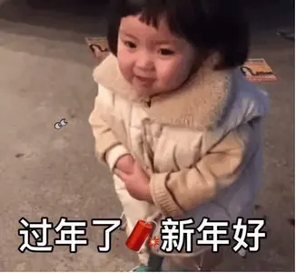 中国春节00014-过年了新年好