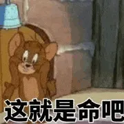 猫和老鼠00175-这就是命吧