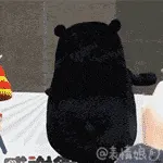 熊本熊00022-超帅
