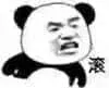 金馆长熊猫00252-滚