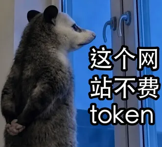 负鼠00025-这个网站不费token