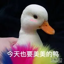 开心鸭00042-今天也要美美的鸭