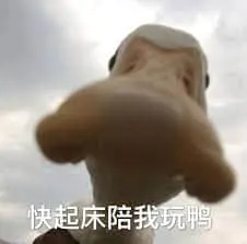 开心鸭00043-快起床陪我玩鸭