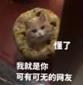 是喵星人啦00049-懂了我就是你可有可无的网友猫