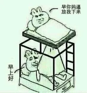 金馆长熊猫00289-早上好早你妈逼放我下来