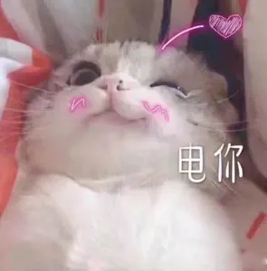 是喵星人啦00036-电你猫