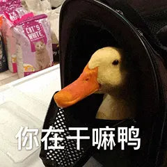 开心鸭00004-你在干嘛鸭