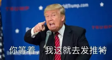 特朗普00017-你等着我这就去发推特