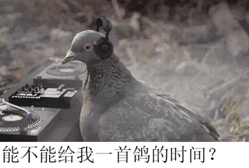 鸽子00004-能不能给我一首歌的时间