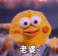 鹦鹉00010-老婆